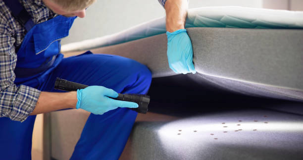 Best Pest Control for Restaurants  in Rocky Ford, CO
