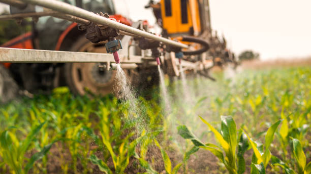 Best Pest Control Treatment  in Rocky Ford, CO